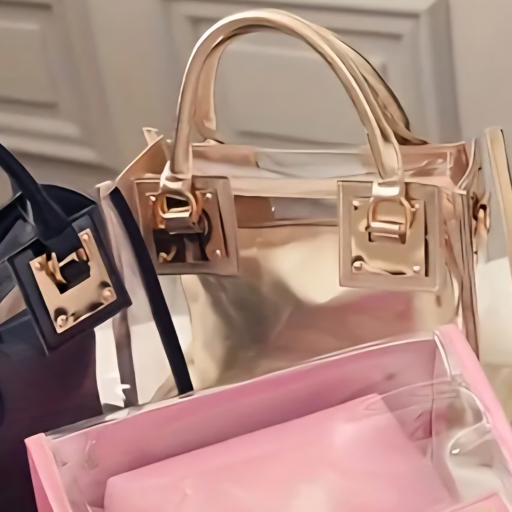 Concert Stadium Handbag With Gold Trim 🤩 Transparent Crossbody - Picture 5 of 7